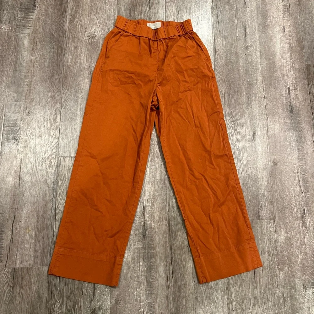 Everlane Wide Leg Elastic Waist Pants in Rust - Picture 3 of 6